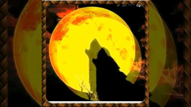 вой волка смотреть онлайн