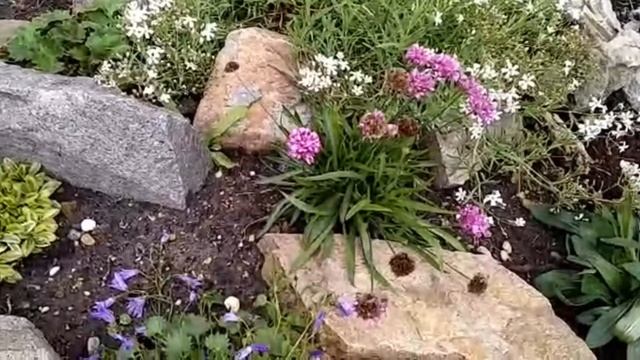Моя маленькая альпийская горка смотреть онлайн