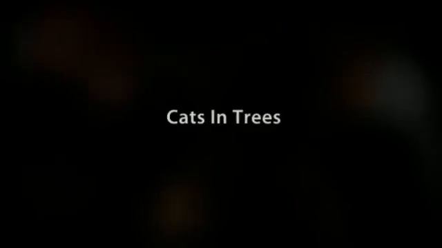 Sandcastle and Other Stories by Justin Bog смотреть онлайн