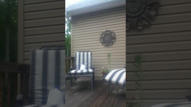 Airsoft Thompson m1a1 power test смотреть онлайн