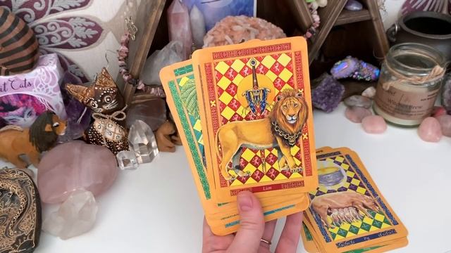 Animal & Nature Themed Oracle Decks // Deck Collection смотреть онлайн