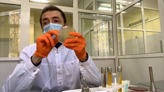 Пятничные Кейсы #7. Клебсиеллы - подробный микробиологический разбор. Метод работы с бактериофагами смотреть онлайн