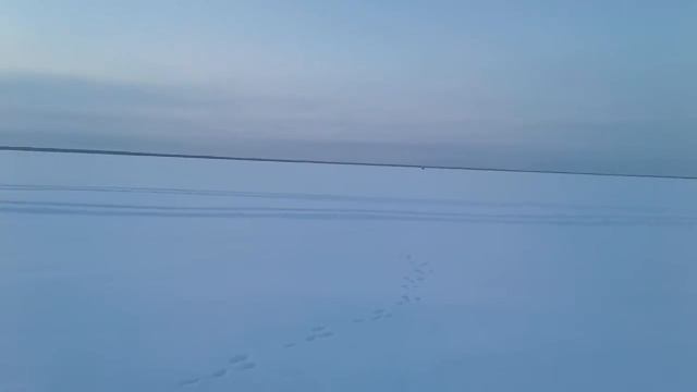 Подледная рыбалка в ХМАО-ЮГРЫ от 16.01.2016 смотреть онлайн