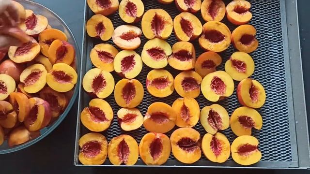 Создай Сам Себя