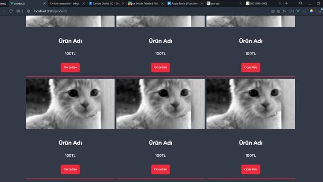 Ürünler Projesi | Ürün ve Detay Sayfaları | Vue.js Vuex смотреть онлайн