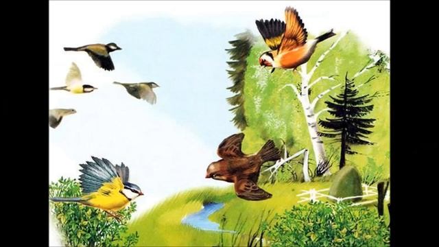 СЛУШАТЬ СКАЗКУ "КАК ПТИЦЫ ПОДРУЖИЛИСЬ" смотреть онлайн