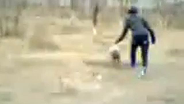 моя собака питбуль правда она милашка смотреть онлайн