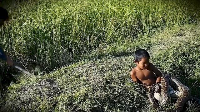 Змеиные дети_Камбоджа смотреть онлайн