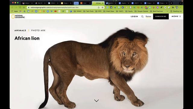 CESA2 Tech Tutorial  - Grouping Tabs In Google Chrome