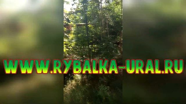 Творчество и индивидуальность в укладках