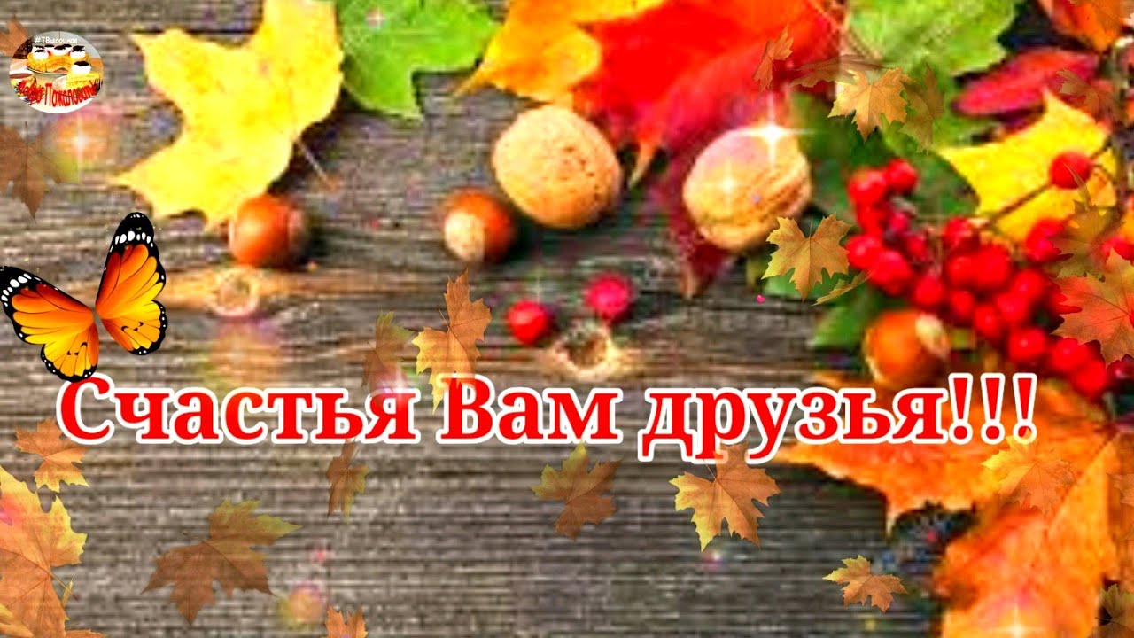 Счастья Вам Друзья! Музыкальное пожелание. смотреть онлайн