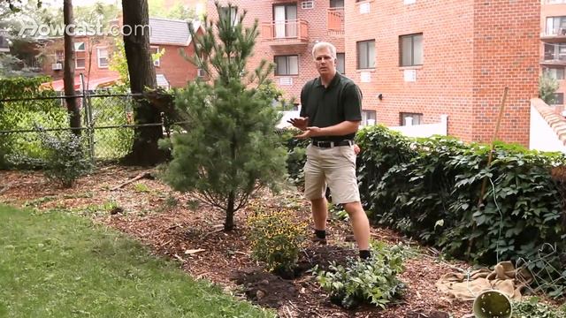 How to Plant Flowers | Lawn & Garden Care смотреть онлайн