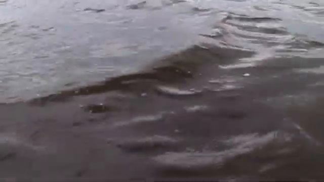 Рыбалка трофейная щука смотреть онлайн