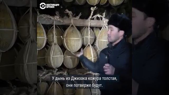 Ковун саклаш сирлари, смотреть онлайн