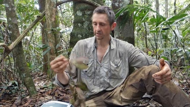 French Guiana self 2 смотреть онлайн