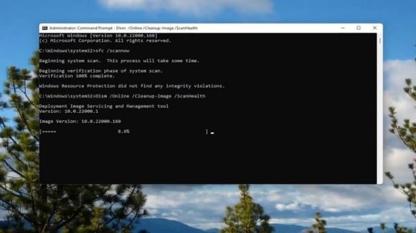 How To Fix Runtime Error 217 In Windows 11