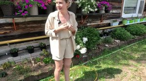 ПИОНЫ КАК ПРОДЛИТЬ ЦВЕТЕНИЕ ПИОНАМ