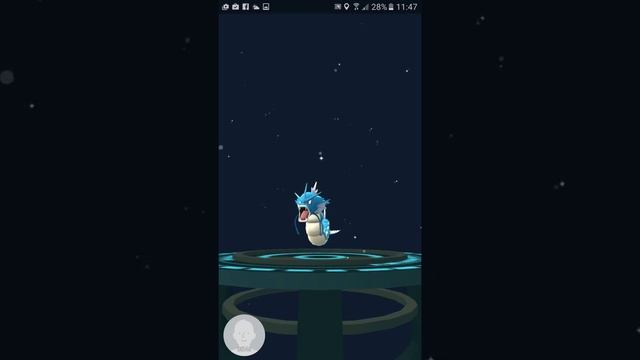 WORLD'S HIGHEST CP GYARADOS EVOLUTION! POKEMON GO! MAGIKARP CRAZY EVOLUTION! смотреть онлайн