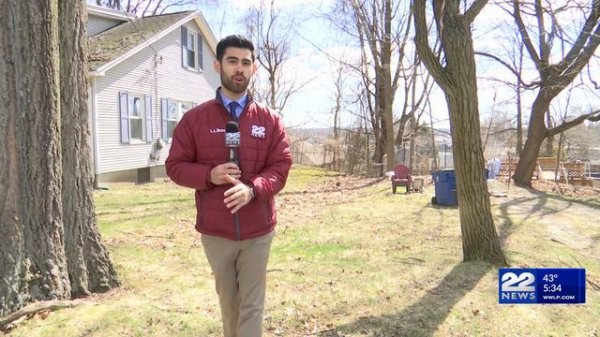 Tips for a greener lawn this season