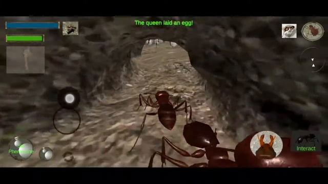 ant simulation 3D игра смотреть онлайн