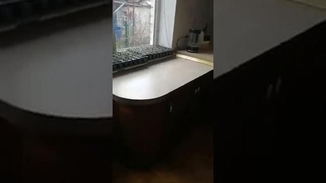 Отзыв. Кухня от Каштан Мебель. 8 лет в использовании. г. Ессентуки смотреть онлайн