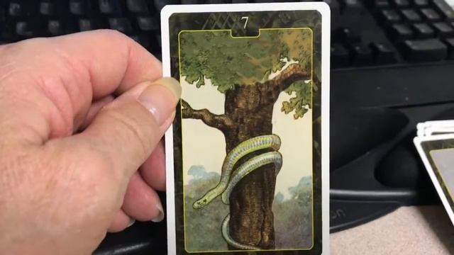 Lenormand Oracle-Lo Scarabeo смотреть онлайн