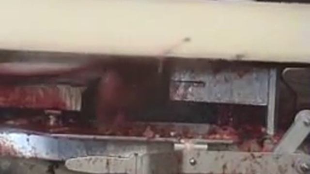 ОБРАБОТКА РЫБЫ