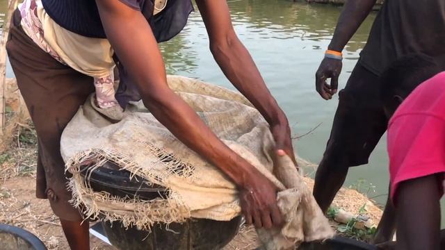 Big Catfish In A Big Pond - Giant Catfish At Mr. Patrick Fish Pond - Catfish Farming In Nigeria смотреть онлайн