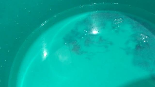 Снятие, чистка, установка подстаканника Audi A4 B6