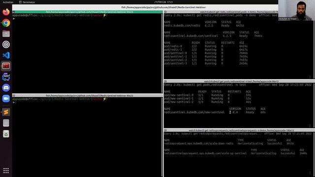 Redis Sentinel Ops Requests - Day 2 Lifecycle Management for Redis Sentinel Using KubeDB смотреть онлайн