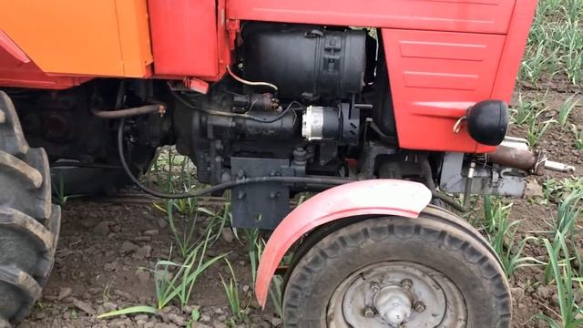 Обзор техники для выращивания чеснока. Overview technology for growing garlic. смотреть онлайн