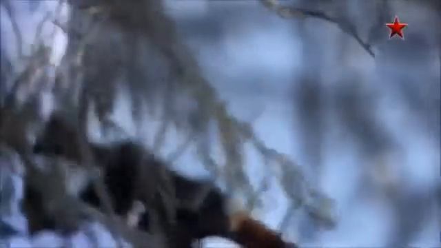 # Армия Макс Корж - Армия смотреть онлайн