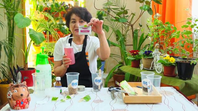 размножения растения / Flora Woman смотреть онлайн