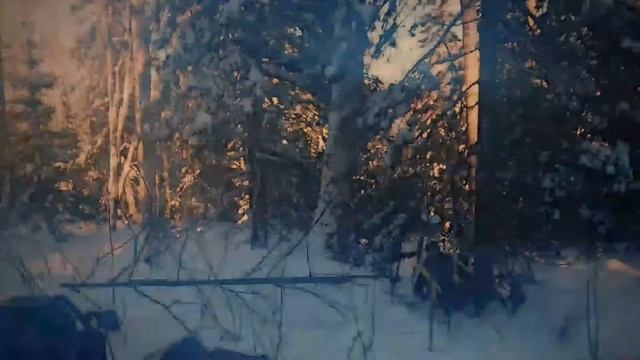 Пятидворка Прокопьевск смотреть онлайн