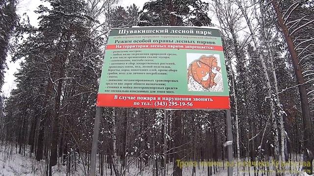 Тропа разведчика Кузнецова смотреть онлайн