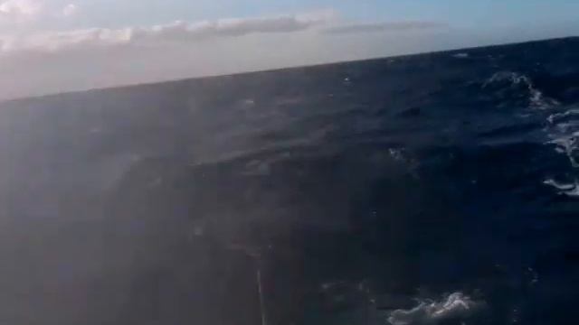 Навстречу шторму! смотреть онлайн