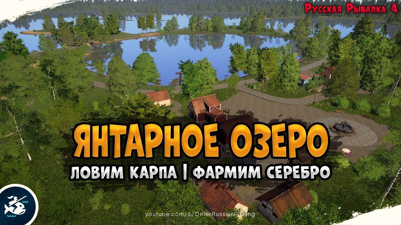 Янтарное озеро • Ловля карпа на донку • Driler - Русская Рыбалка 4