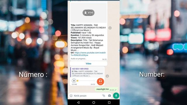 Nomer Bot WhatsApp Terbaru || Bot Sticker WA ❗|| All Menu ✅ смотреть онлайн