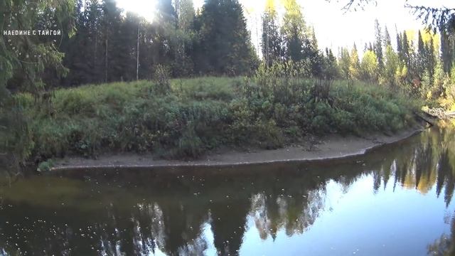 НАШЛИ ЗАБРОШЕННУЮ ИЗБУ! / ОХОТА НА РЯБЧИКА 2018 / Наедине с тайгой смотреть онлайн