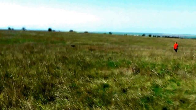 Field trials, Crimea, VAID EXC смотреть онлайн