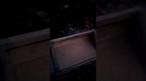 ПЫЛЬ В БАГАЖНИКЕ КАЛИНЫ!!! Замена клапана избыточного давления. Часть 2.