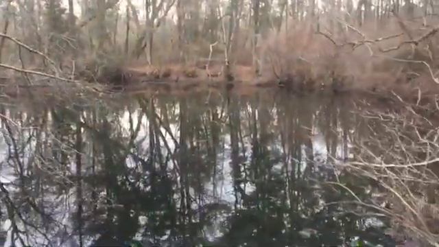 OSTARA CONCLAVE 2020 VIDEO Searching for the Blue Hole, Watering Hole of the Jersey Devil смотреть онлайн