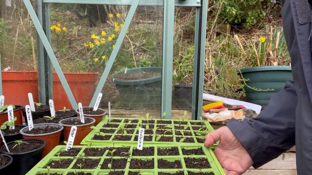 Jan, Feb and March growing update смотреть онлайн