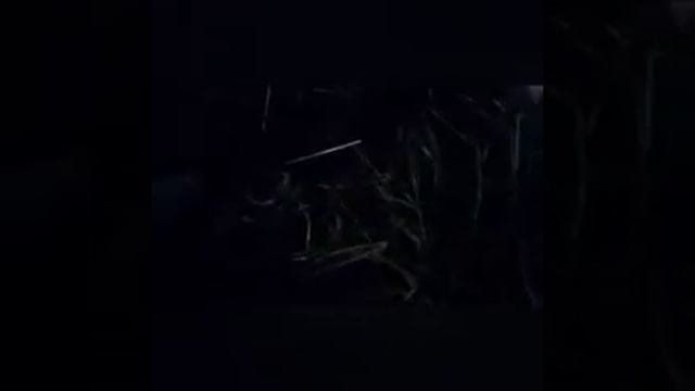 Рождение ягнят, новая жизнь на ферме. Дорпер / Çiftlikteki yeni hayat. Kuzu doğumu. смотреть онлайн