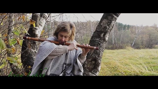 Лесное соло. Исцеляющая музыка смотреть онлайн