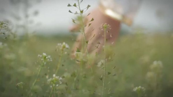 "Степом, Степом..."