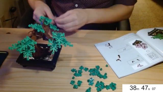 Building the Bonsai LEGO Set (10281) смотреть онлайн