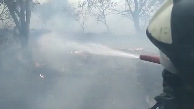 В Ростовской области горят хутора. Пожар перекидывается на дома. смотреть онлайн
