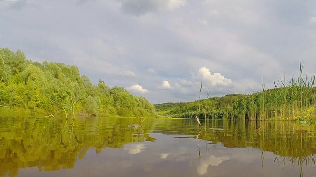 Голоса птиц. Черныш и Сизая Чайка. смотреть онлайн