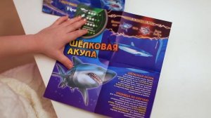 Шелковая Акула деагостини, которая не меняет цвет в воде и не светится
